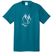 ADULT, T-Shirt, Short Sleeve, DLFB Grey and White Logo