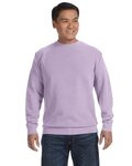 Adult Crewneck Sweatshirt