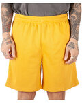 Men's Mesh PE Gym Short